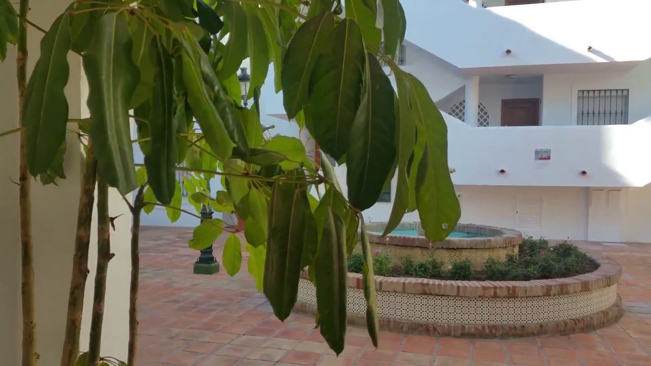 apartamentos royal oasis club at pueblo quinta