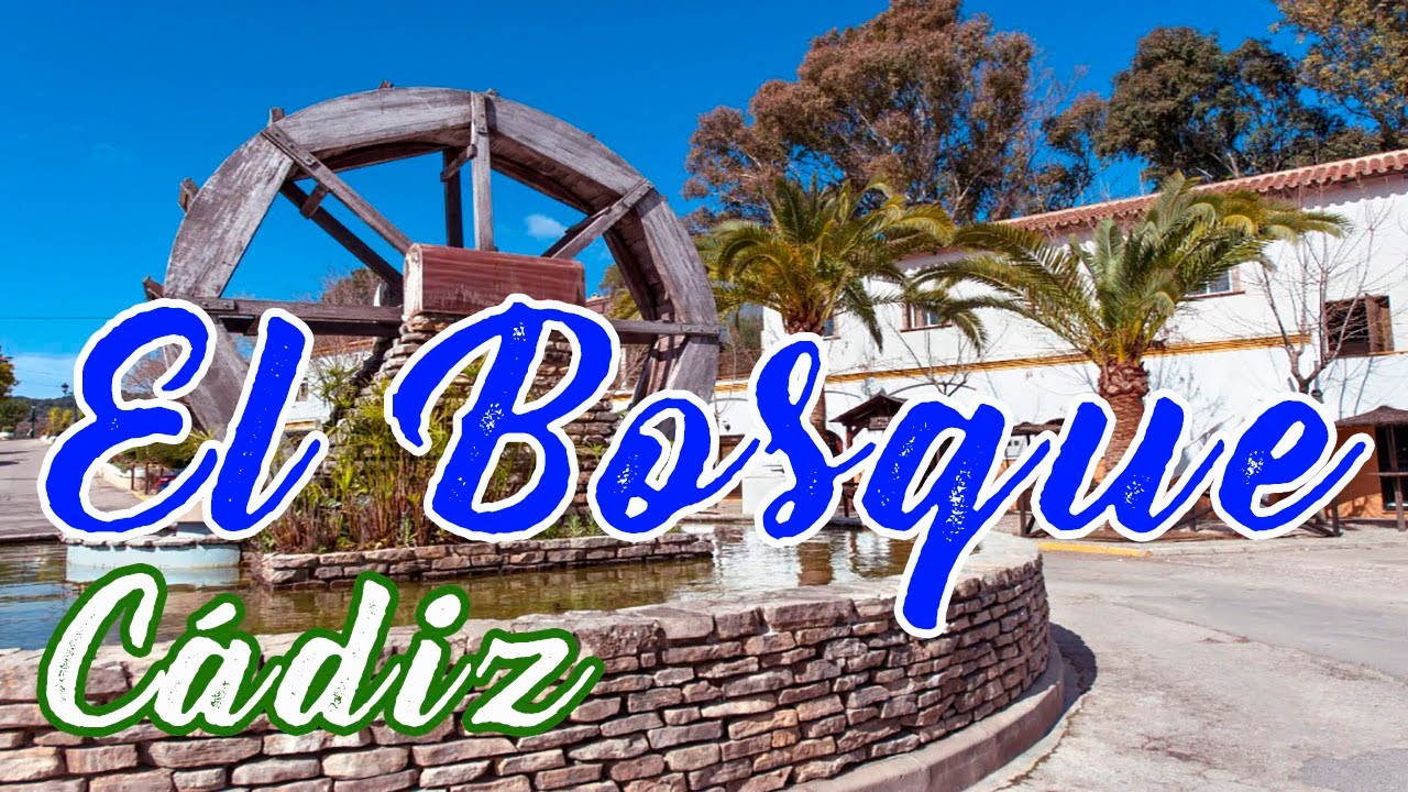 casa rural sierra de cádiz el bosque