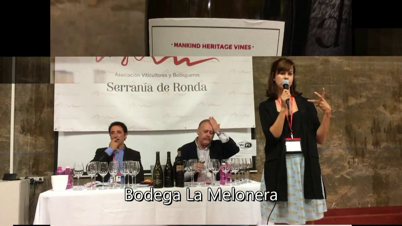 cata de vinos en ronda
