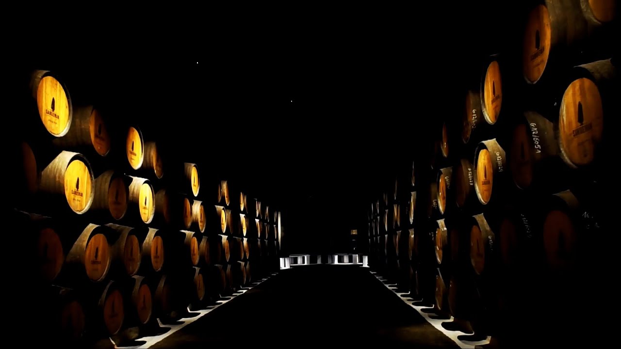 cata de vinos setenil de las bodegas