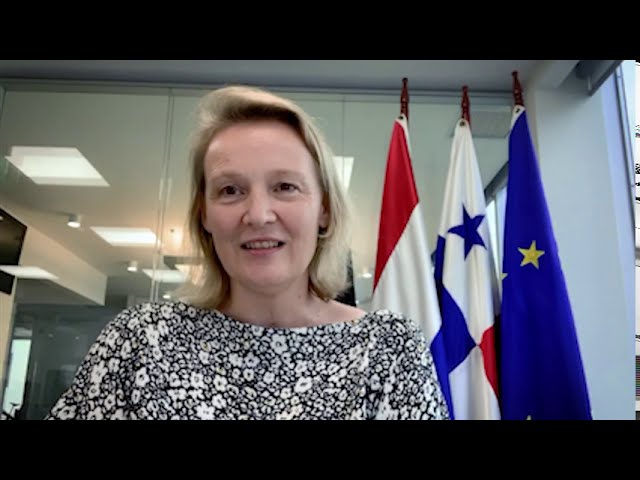 consulado de holanda en españa