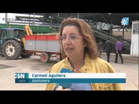 cooperativa de aceite de antequera
