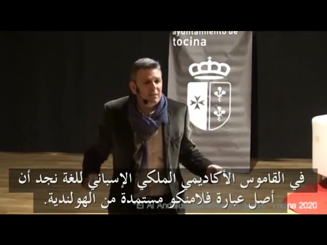 de donde viene la palabra flamenco