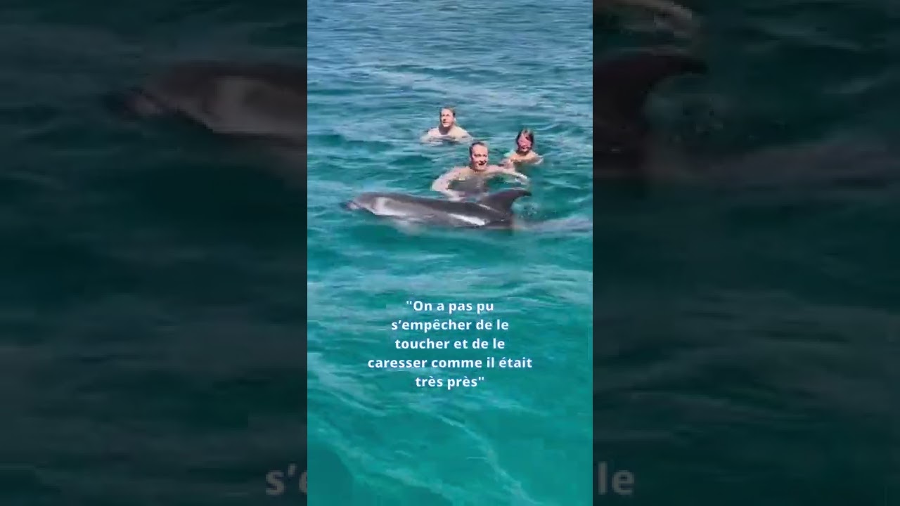 nager avec les dauphins andalousie