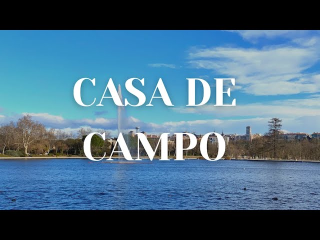 parque del lince casa de campo