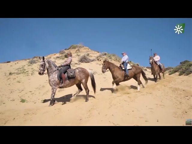 paseo a caballo por la playa huelva
