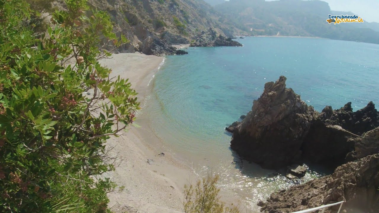 playa la cala del pino