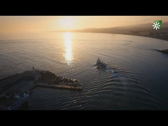 que ver en caleta de velez