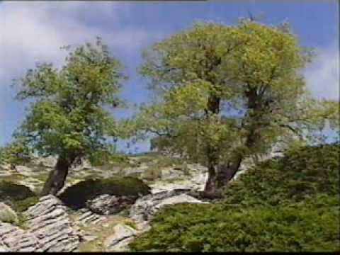 reserva de la biosfera sierra de las nieves