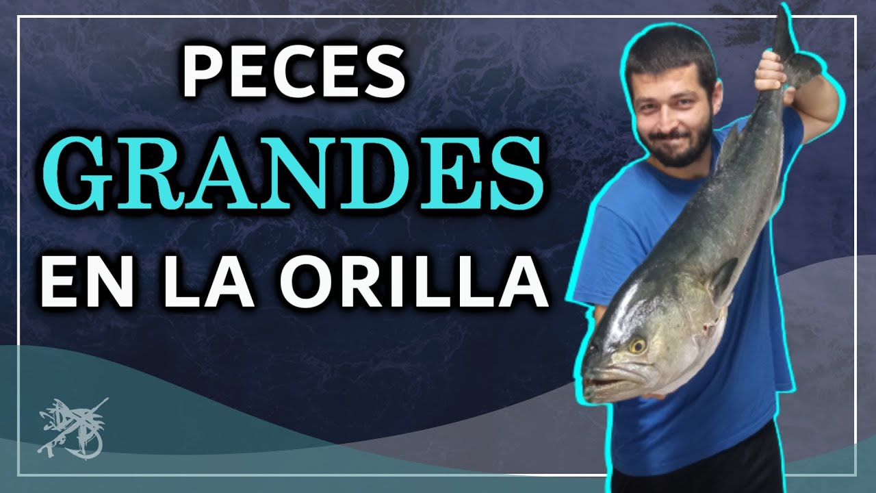tiendas de submarinismo en malaga