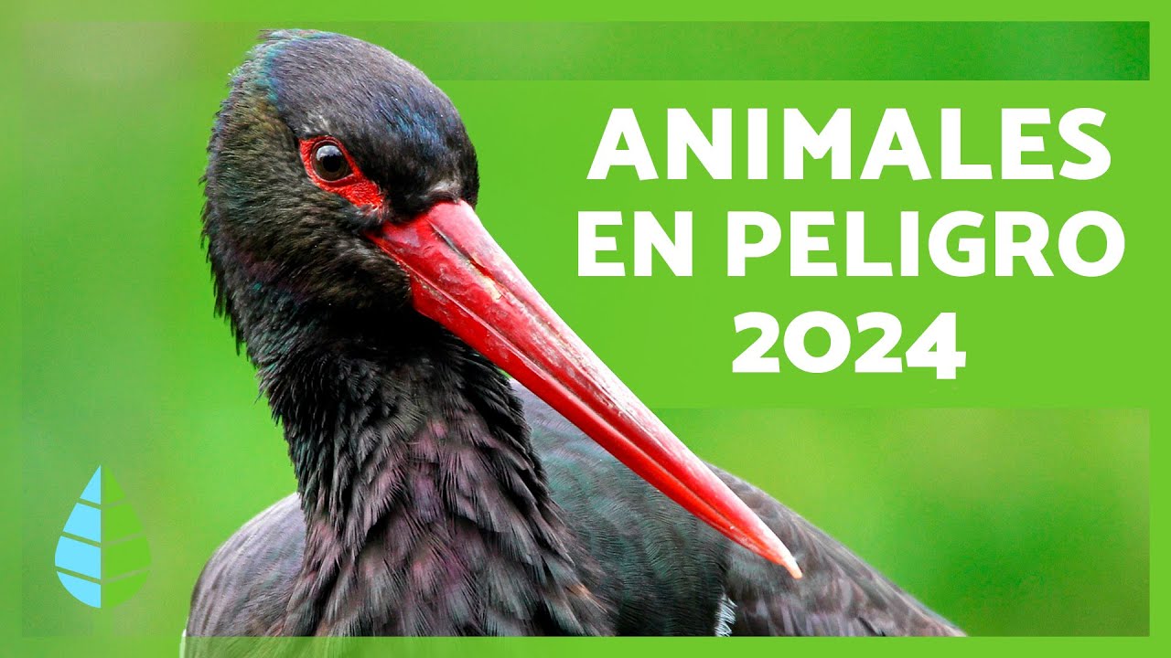animales en peligro de extincion malaga