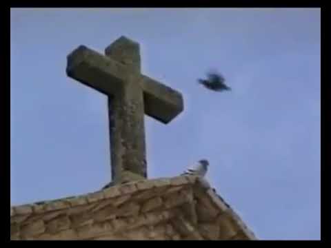 aparicion de la virgen de la cabeza