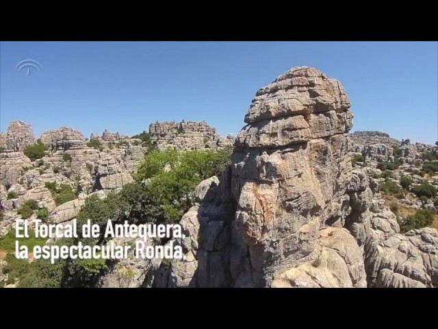 camping que admiten perros en malaga