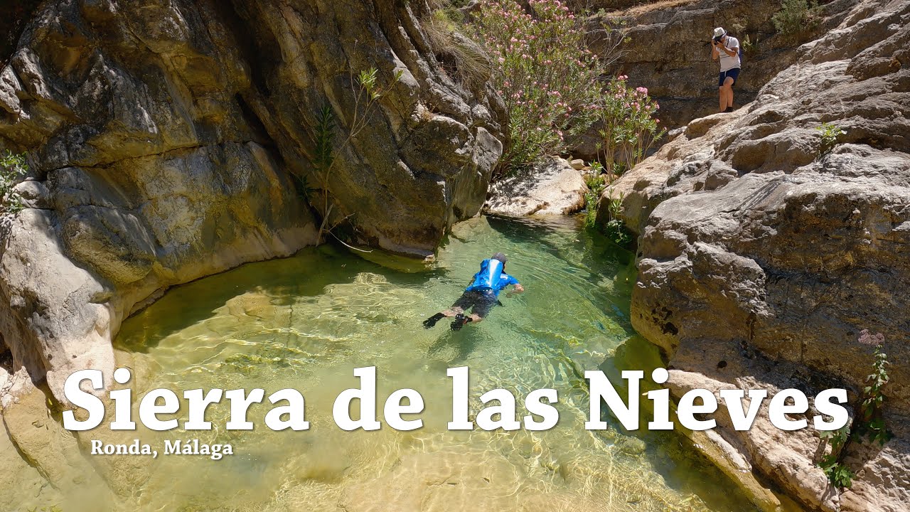 camping sierra de las nieves yunquera