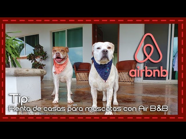 casas de vacaciones que admiten mascotas