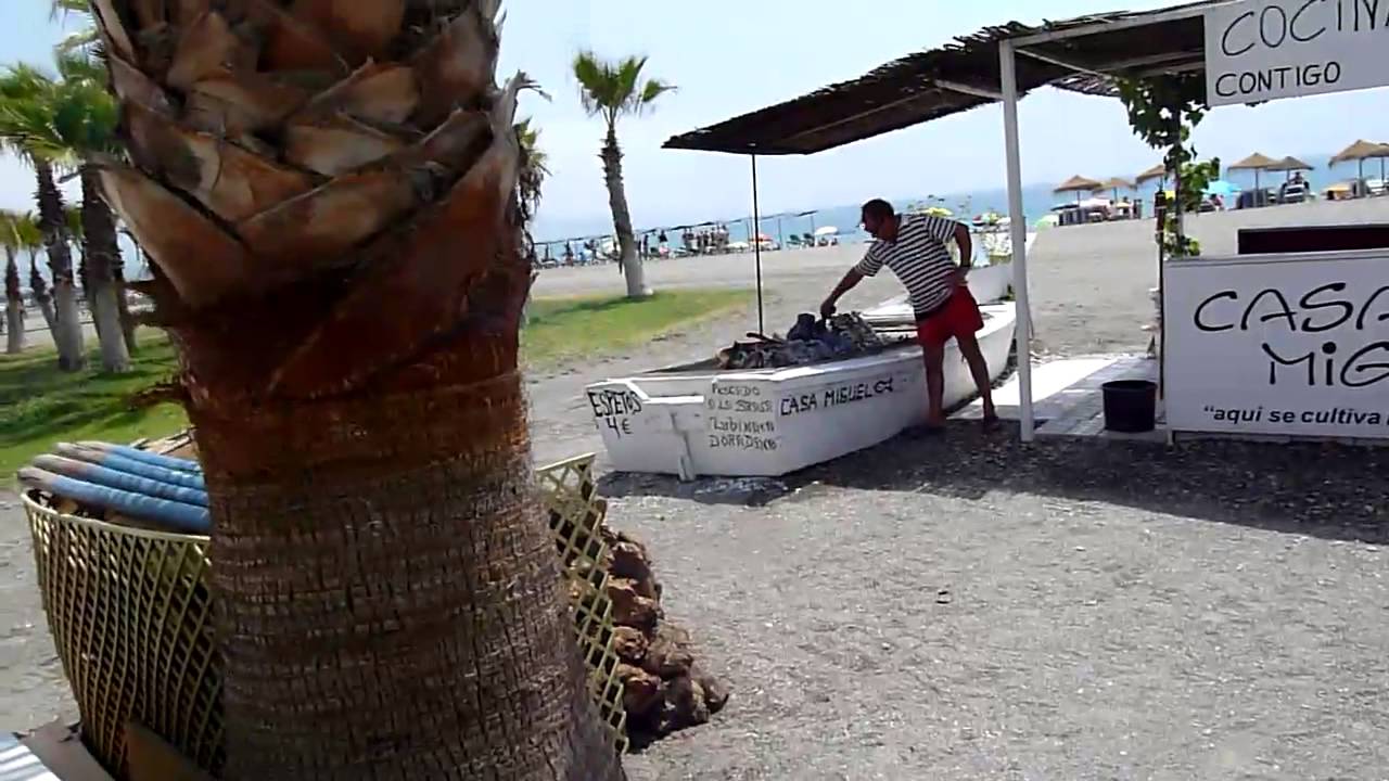 chiringuito miguel torre del mar