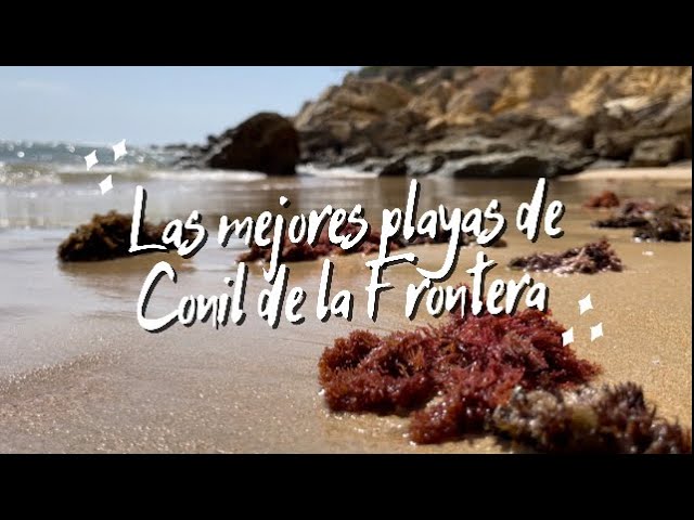 cual es la mejor playa de conil