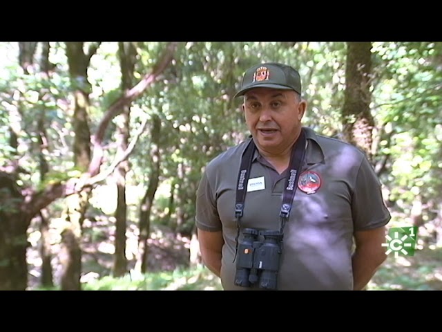grupos de senderismo en jerez de la frontera