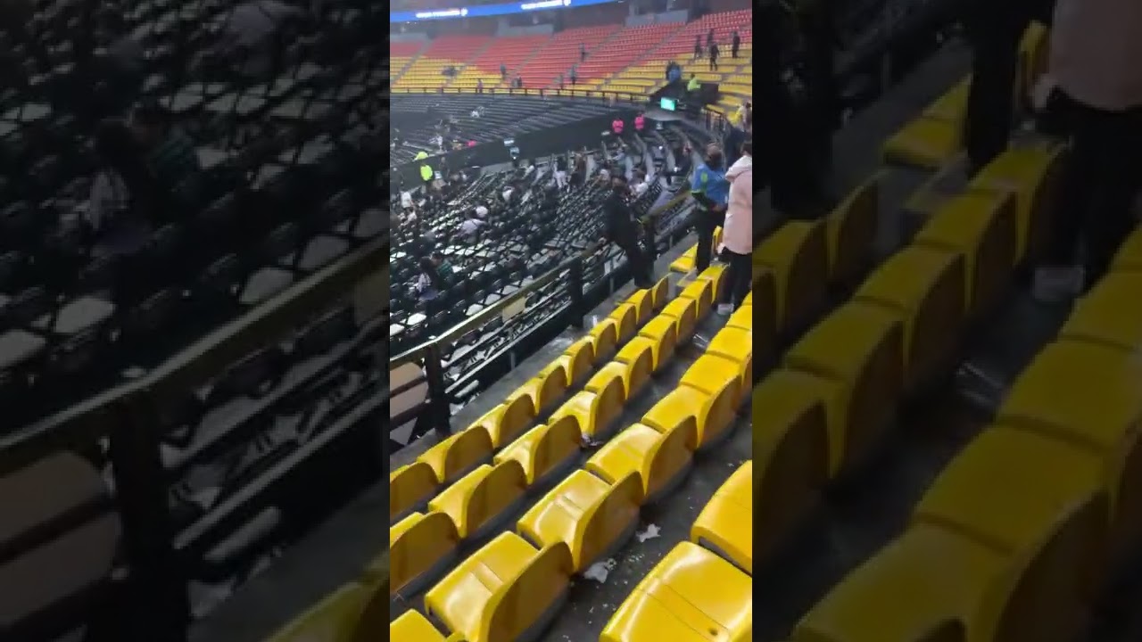interior palacio de los deportes