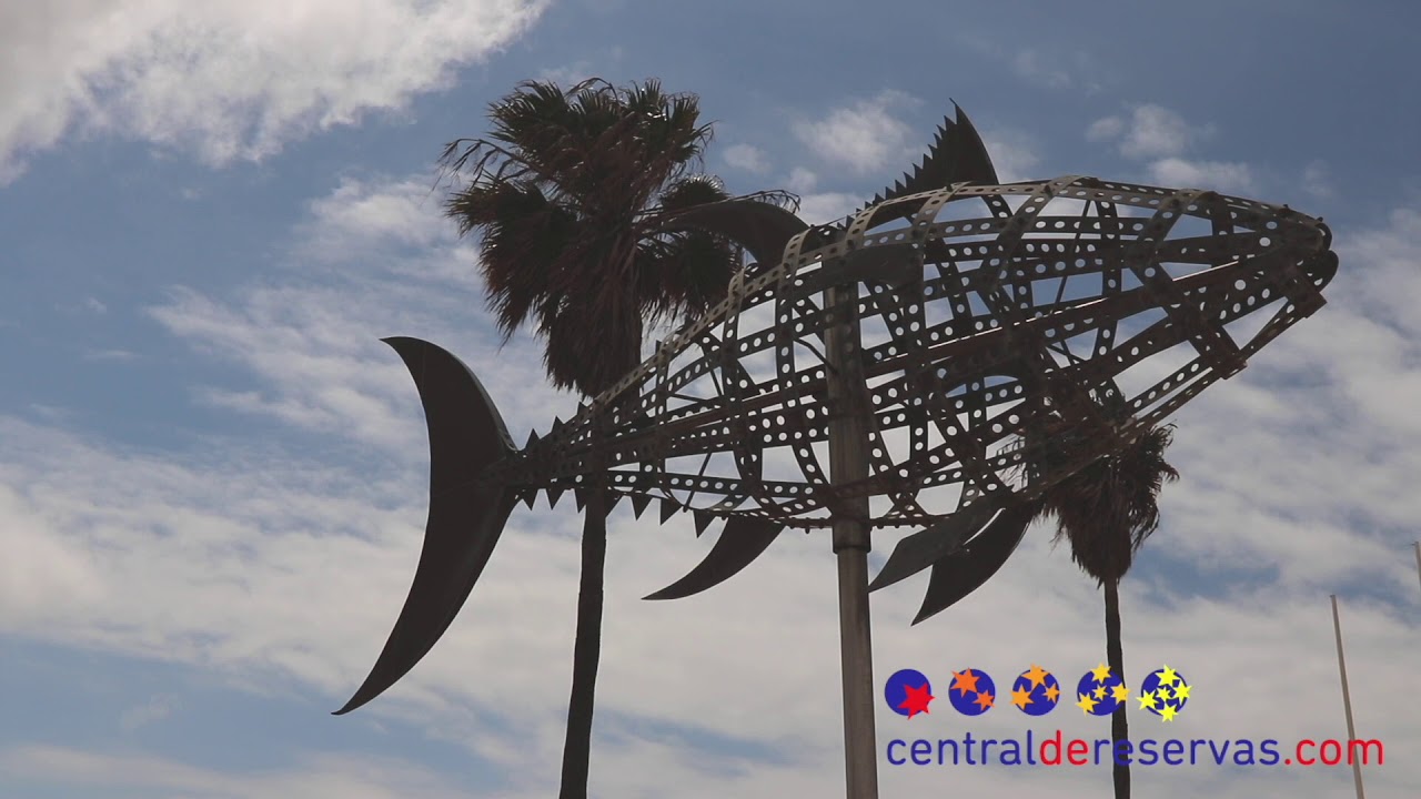 levante en conil de la frontera
