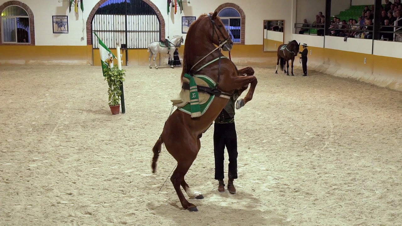 montar a caballo en torremolinos