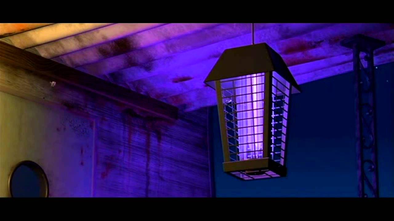 no vayas a la luz