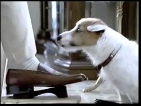 pancho el perro de la lotería