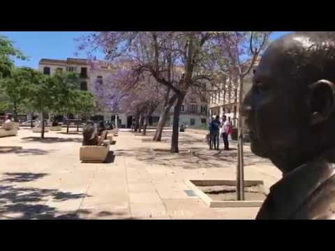 plaza de la merced malaga bares