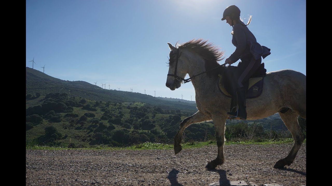 riding fun in the sun