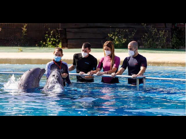 selwo marina encuentro con delfines