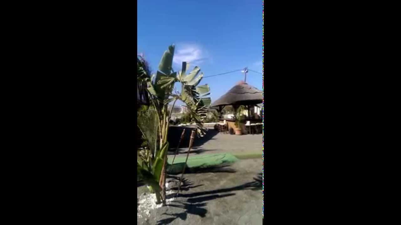 sirena beach club torre del mar