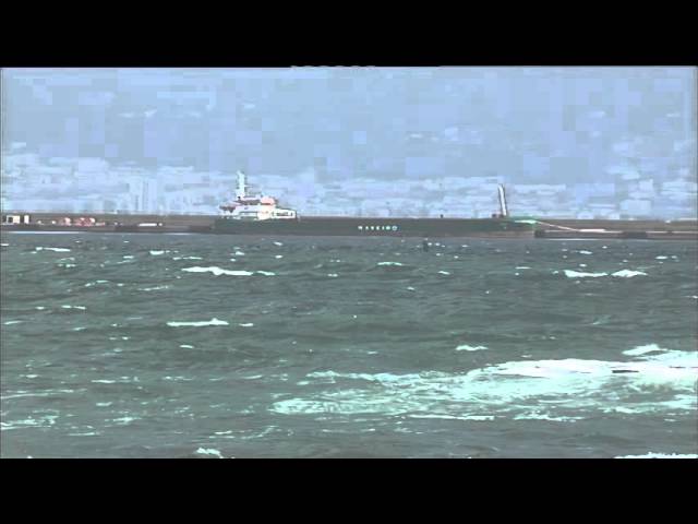 aemet zahara de los atunes viento
