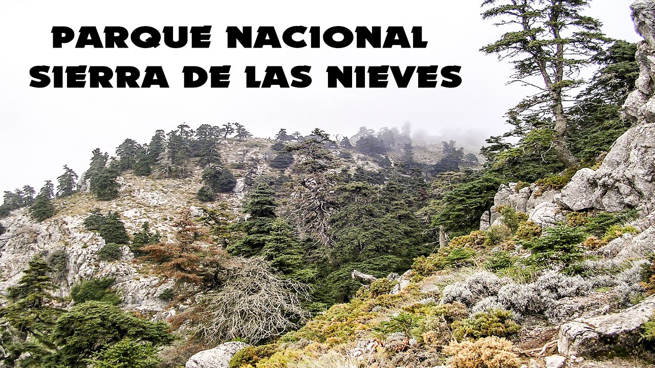 barranquismo sierra de las nieves