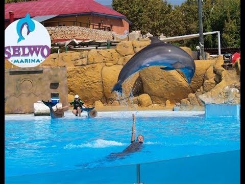 bioparc fuengirola o selwo marina