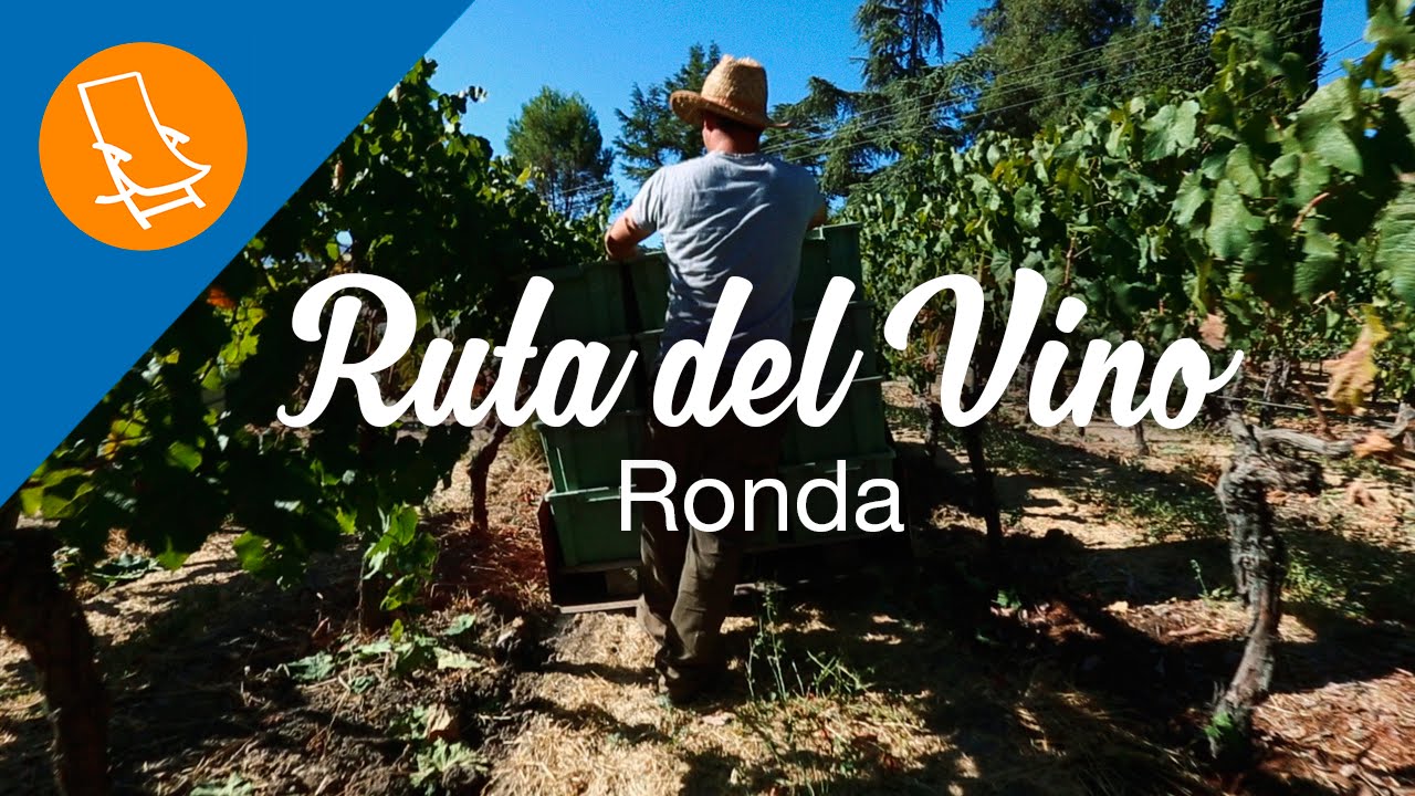 bodegas en ronda para visitar