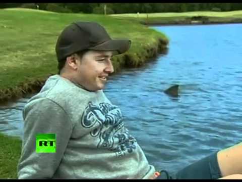 campo de golf con tiburones