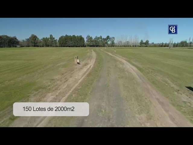 club de campo y polo