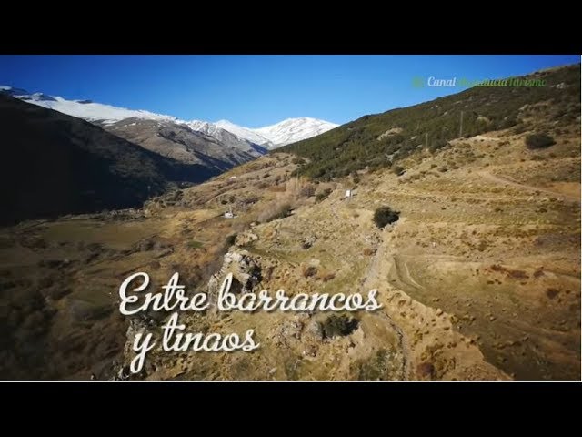 donde dormir en la alpujarra granadina