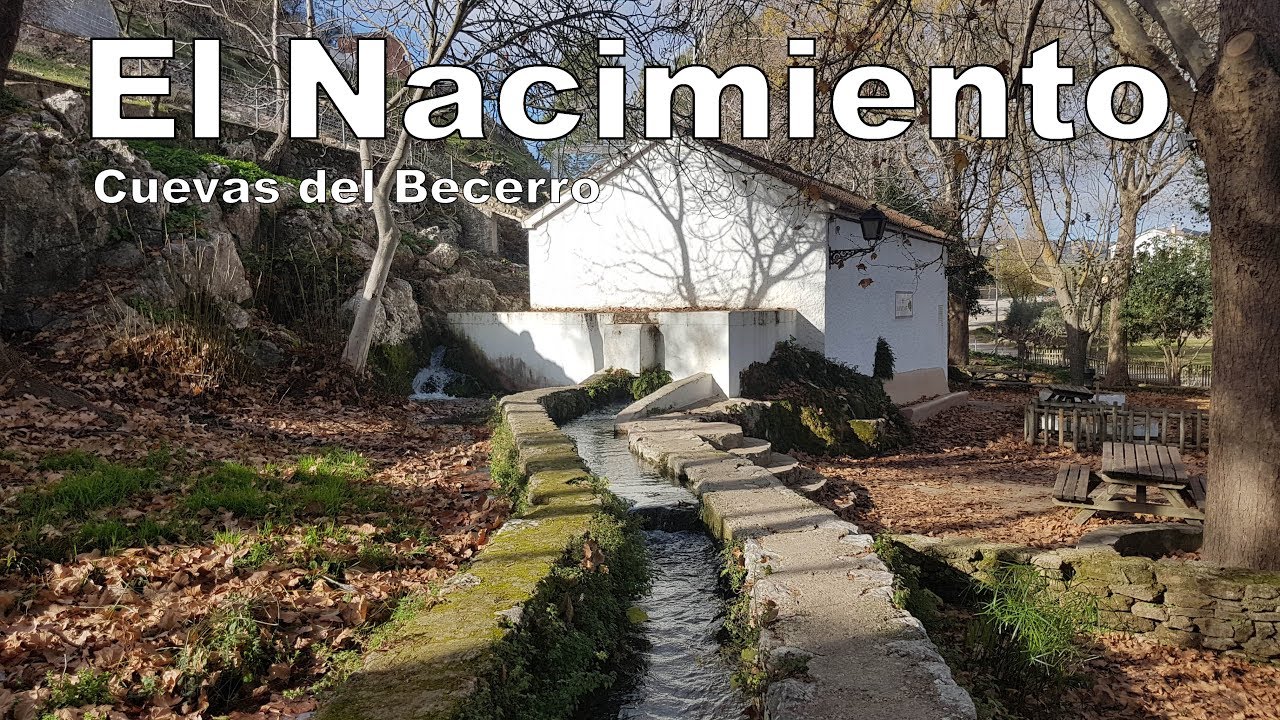 el tiempo cuevas del becerro