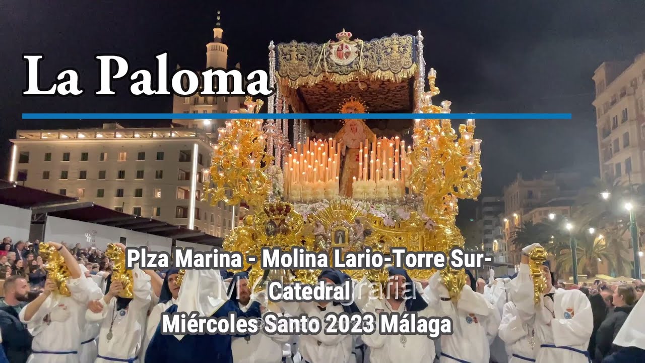 hermandad de la paloma malaga