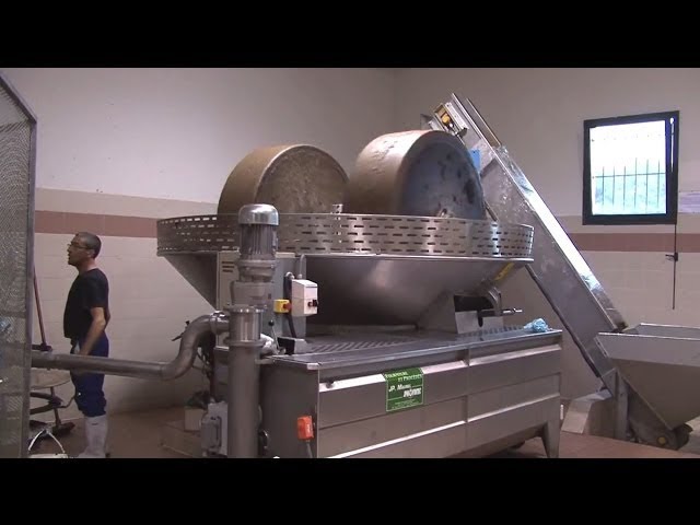 moulin huile d olive espagne