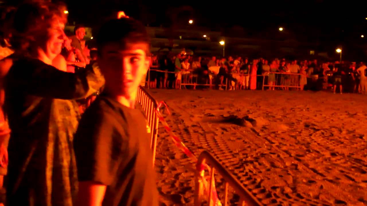 noche de san juan en nerja