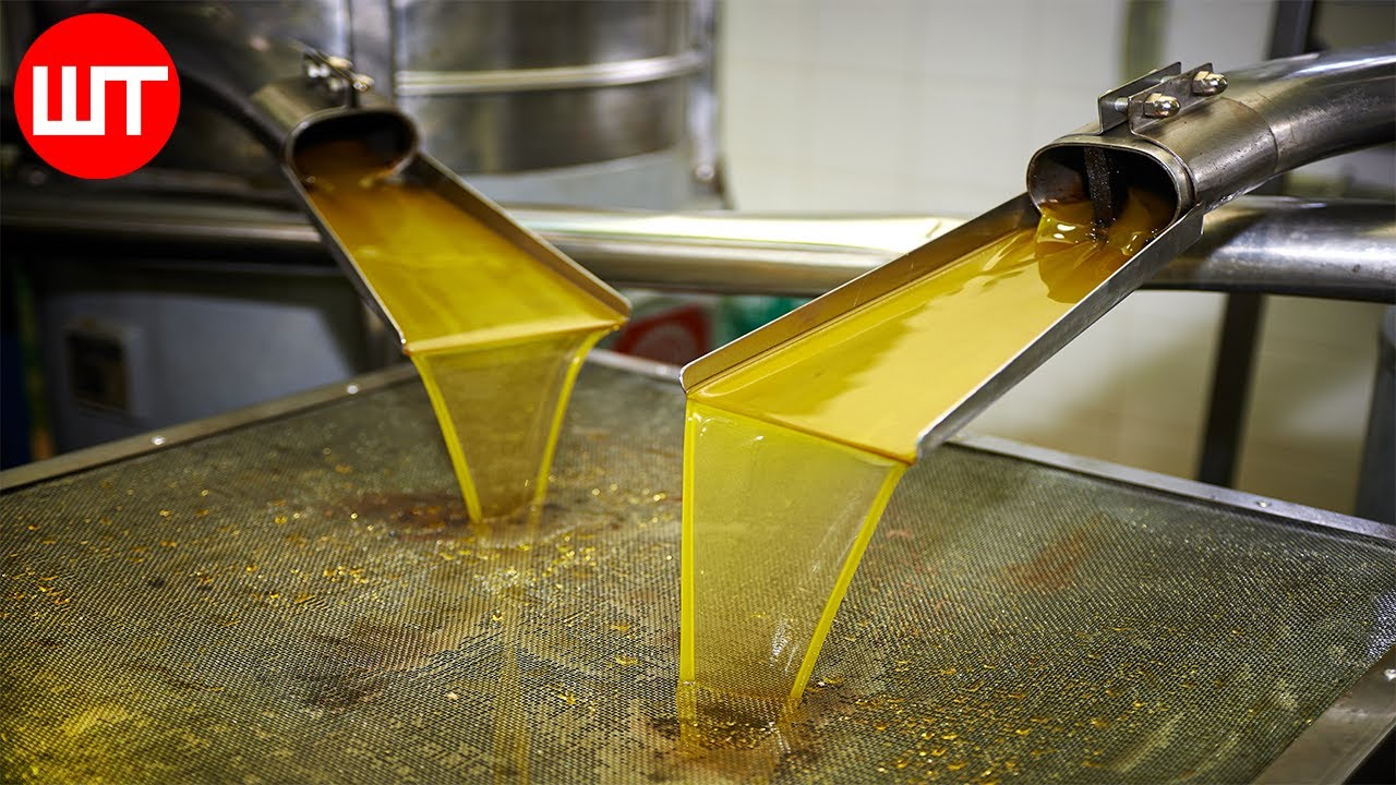 olive oil producers in spain