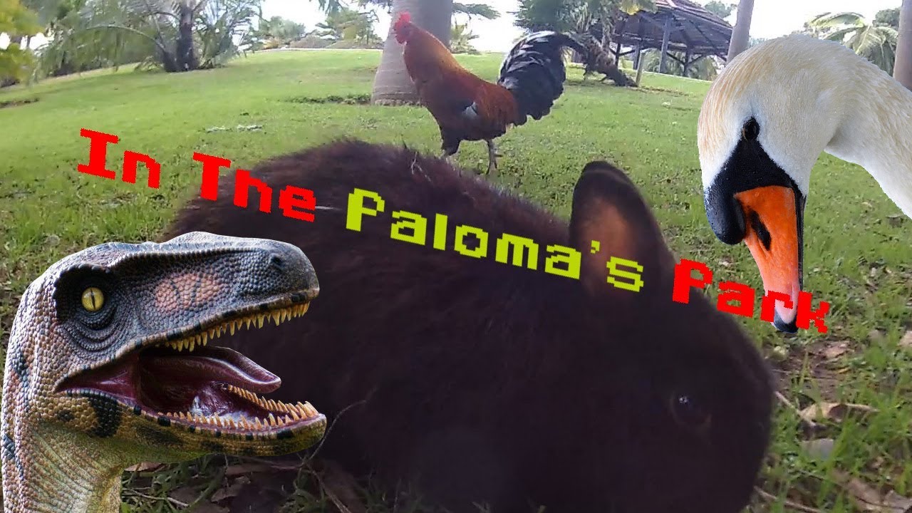 parque de animales en benalmádena