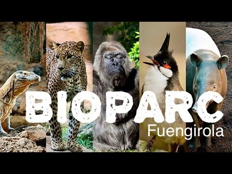 parque de animales en málaga