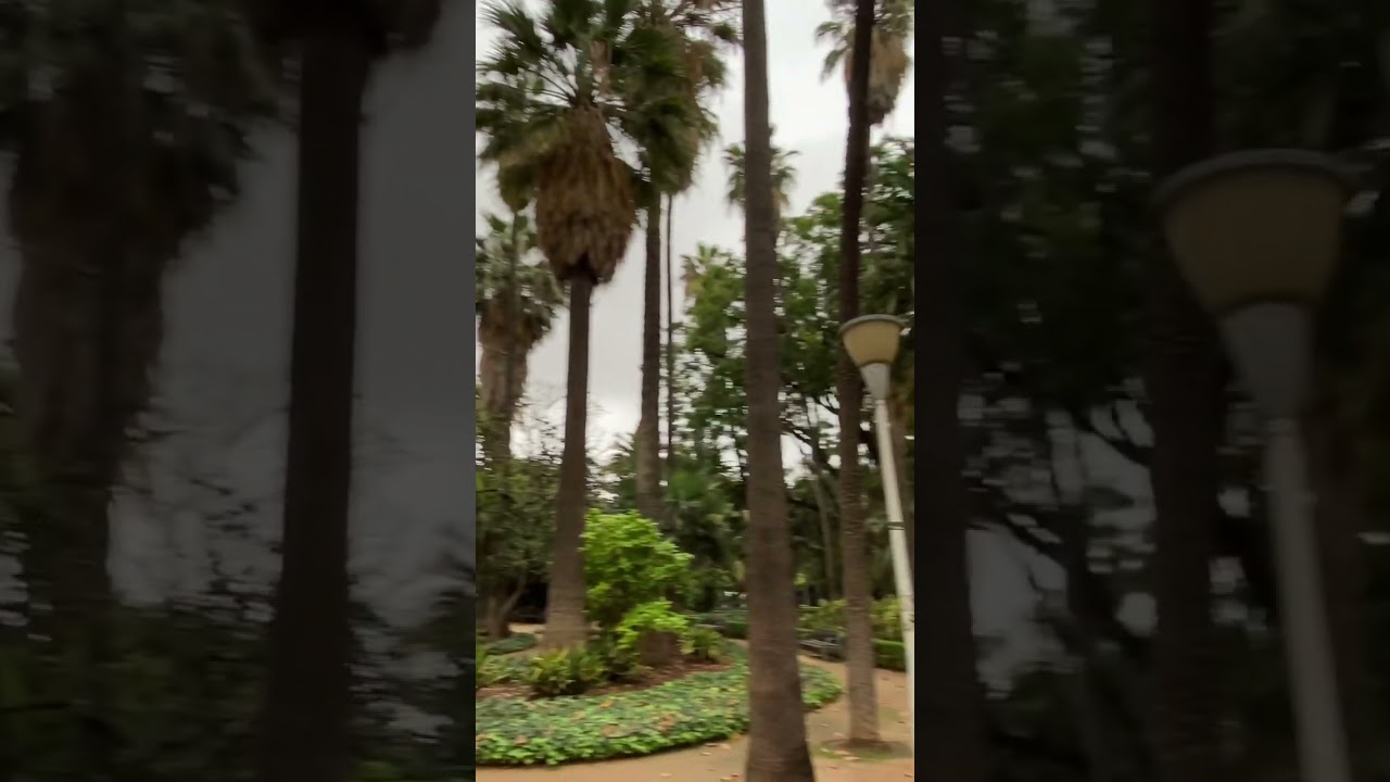paseo de los curas malaga