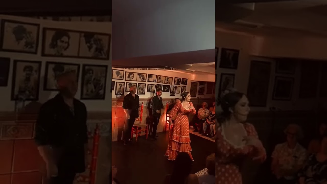 peña flamenca niño de velez