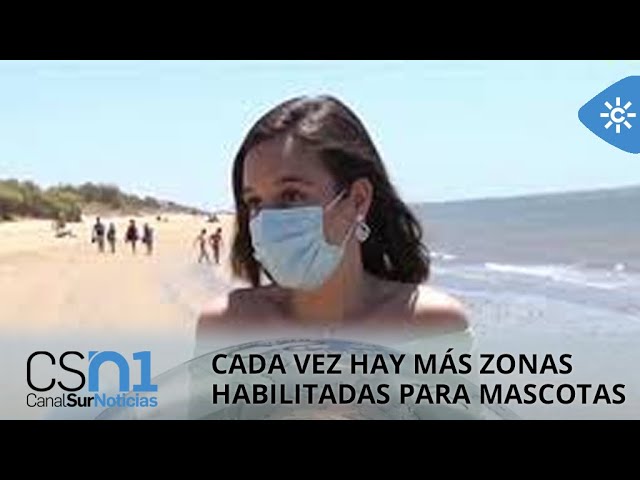 playas para perros en roquetas de mar