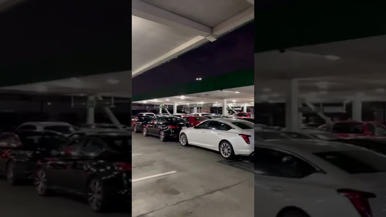 rent a car los boliches