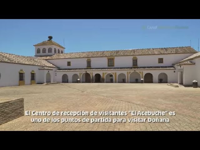 se puede visitar doñana por libre